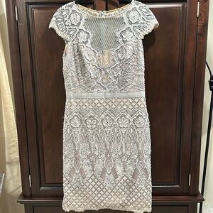 Silver gray Tadashi Shoji lace dress (sz 14)